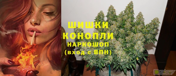 стафф Заволжье