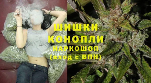 стафф Заволжье
