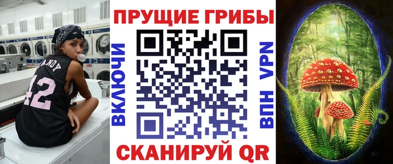 Псилоцибиновые грибы GOLDEN TEACHER  Купить где  Ханты-Мансийск 